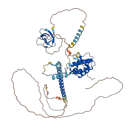 STAM 3D structure