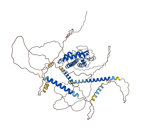 PROX1 3D structure