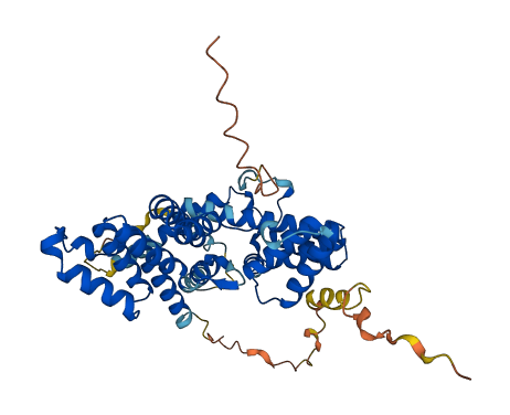 P3H4 3D structure