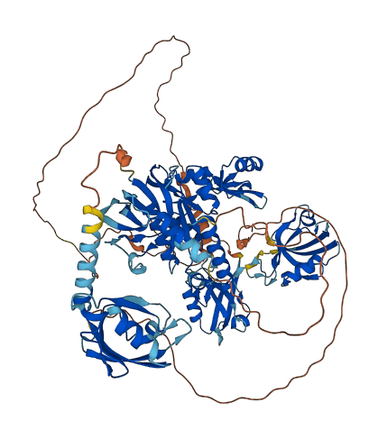 DLG3 3D structure