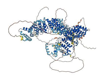 SYMPK 3D structure