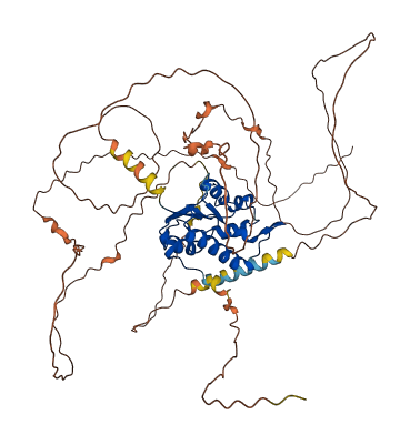 N4BP2L2 3D structure
