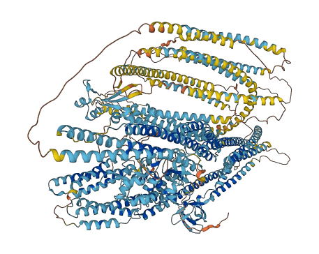 EVPL 3D structure