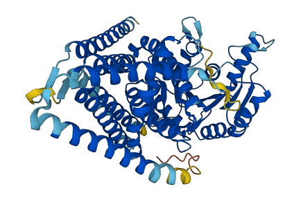 HAS2 3D structure
