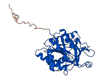 GGH 3D structure