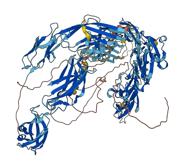 NRCAM 3D structure