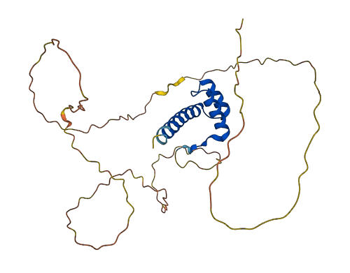 HOXB13 3D structure