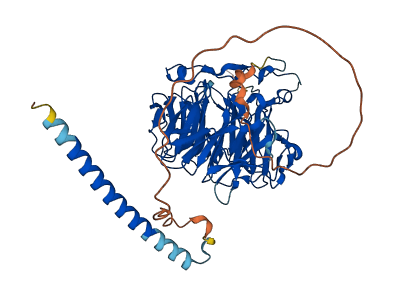CORO2A 3D structure