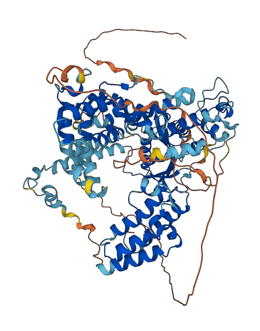 KAT2B 3D structure