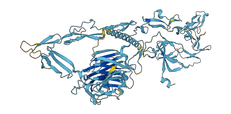 NELL1 3D structure