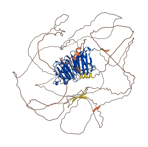 RPGR 3D structure