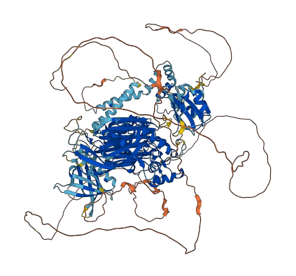 INPP5D 3D structure