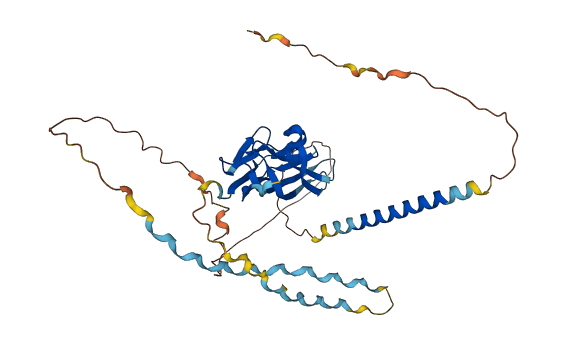 EDA 3D structure