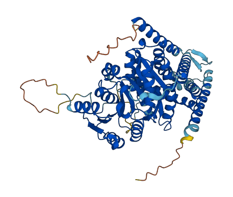 HAS1 3D structure