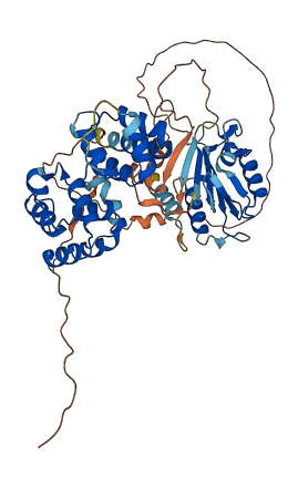 CASP10 3D structure