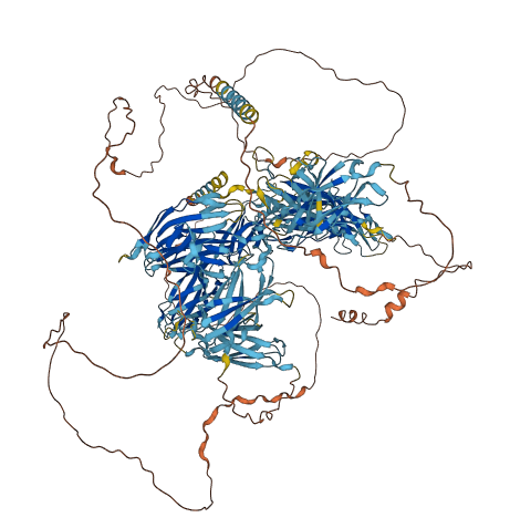 NEO1 3D structure