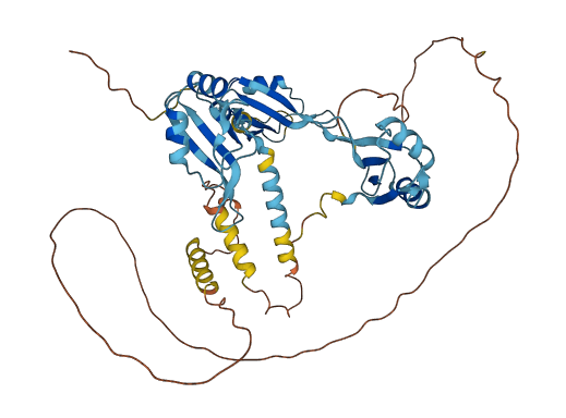 CELF1 3D structure