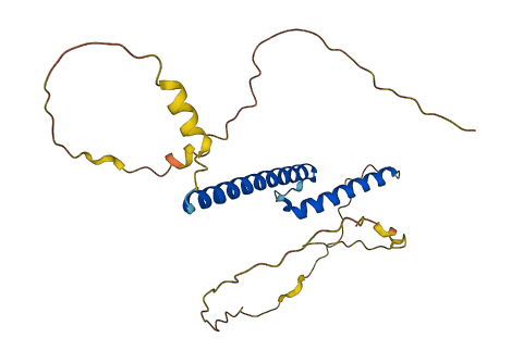 NEUROG1 3D structure
