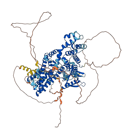 ARHGEF1 3D structure