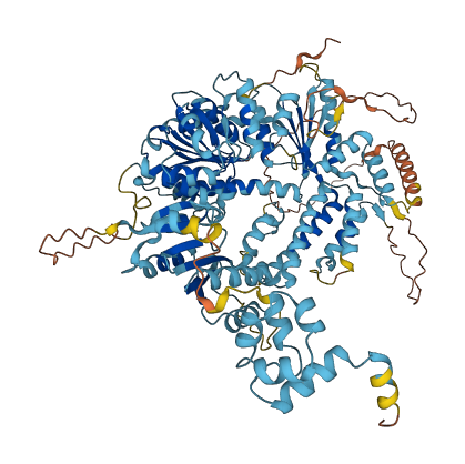 ERCC4 3D structure