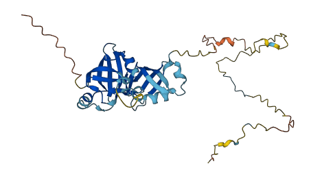 UFD1 3D structure