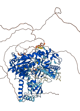 UPF1 3D structure