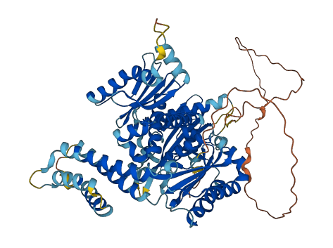 HPS1 3D structure