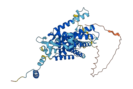 CDS1 3D structure