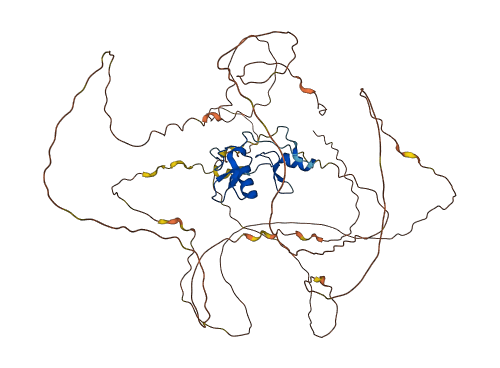 GATA6 3D structure