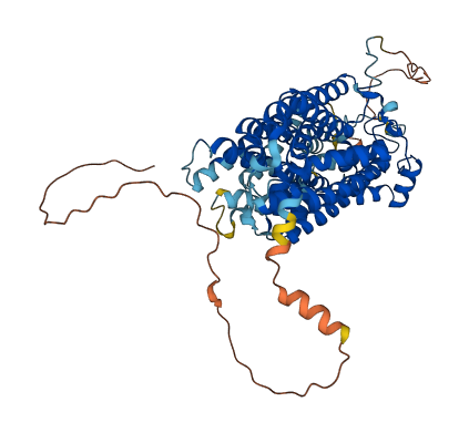 SLC5A5 3D structure
