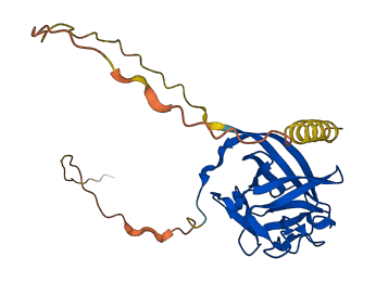 FGF14 3D structure