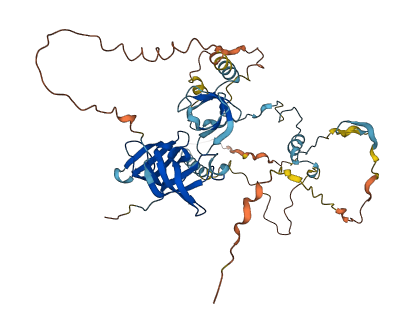 GPKOW 3D structure