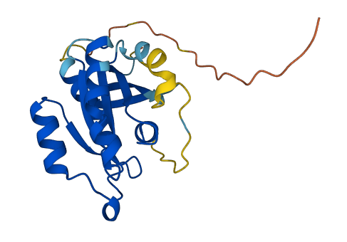 RAB1C 3D structure
