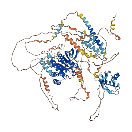 PTPRN2 3D structure