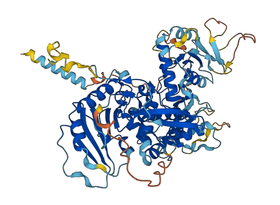 EXTL1 3D structure