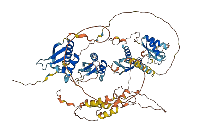 KHSRP 3D structure