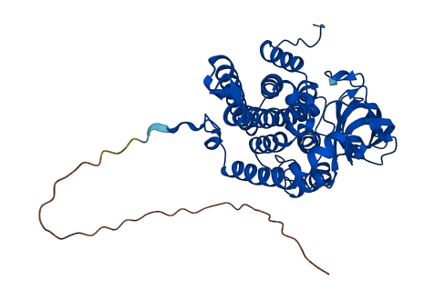 GCDH 3D structure
