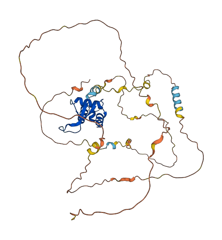 FOXJ1 3D structure