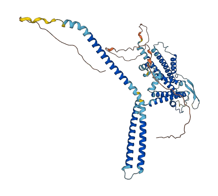 KCNN1 3D structure