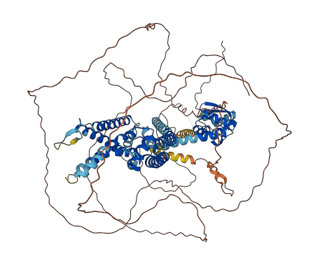 KCNB2 3D structure