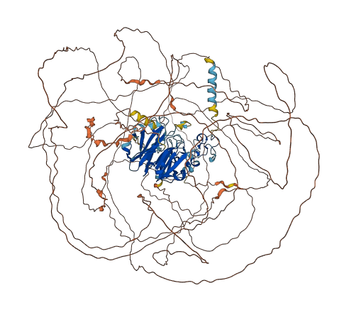 PRG4 3D structure