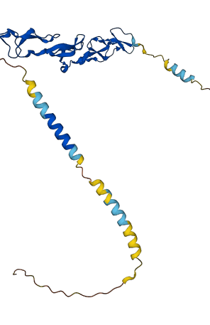 TNFRSF14 3D structure