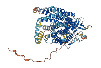 SLCO2A1 3D structure