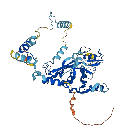 SNAPC3 3D structure