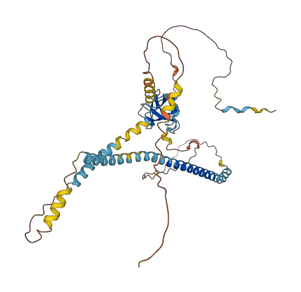 PEX13 3D structure