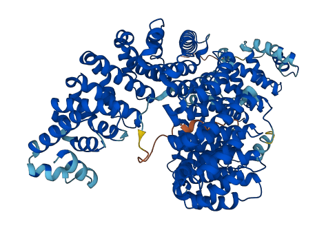 TNPO1 3D structure