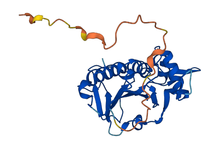 EMG1 3D structure