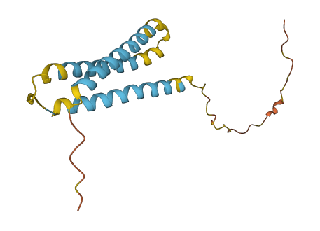 NINJ1 3D structure