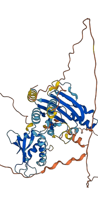 IRF7 3D structure
