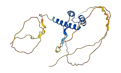 DLX4 3D structure